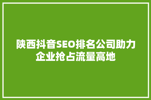 陕西抖音SEO排名公司助力企业抢占流量高地