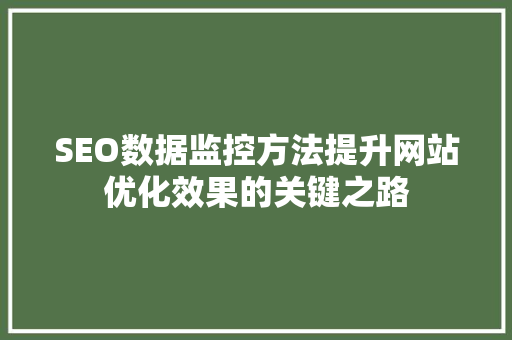 SEO数据监控方法提升网站优化效果的关键之路  第1张