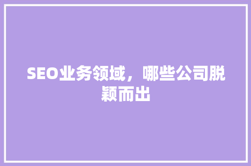 SEO业务领域，哪些公司脱颖而出