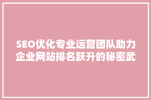 SEO优化专业运营团队助力企业网站排名跃升的秘密武器  第1张