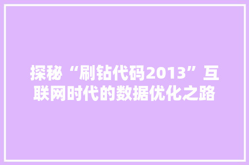 探秘“刷钻代码2013”互联网时代的数据优化之路
