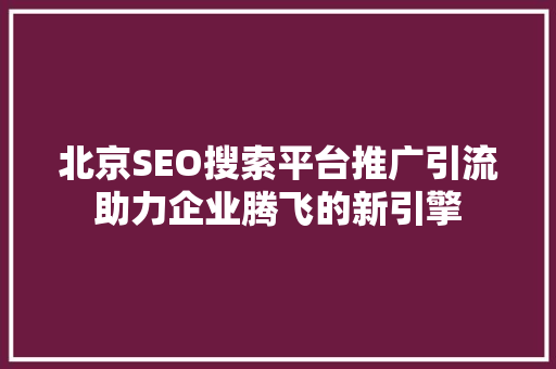 北京SEO搜索平台推广引流助力企业腾飞的新引擎