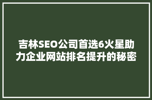 吉林SEO公司首选6火星助力企业网站排名提升的秘密武器