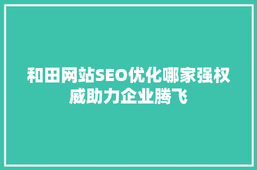 和田网站SEO优化哪家强权威助力企业腾飞