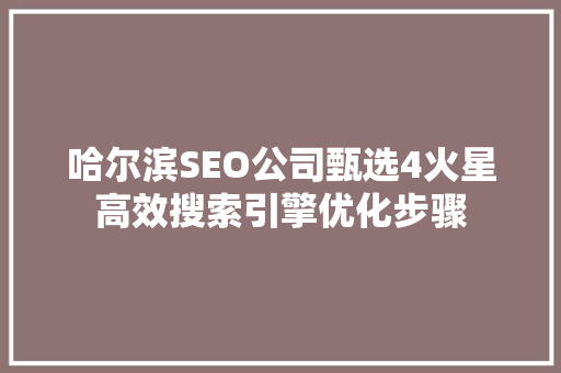 哈尔滨SEO公司甄选4火星高效搜索引擎优化步骤