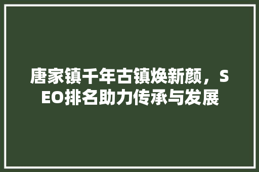 唐家镇千年古镇焕新颜，SEO排名助力传承与发展