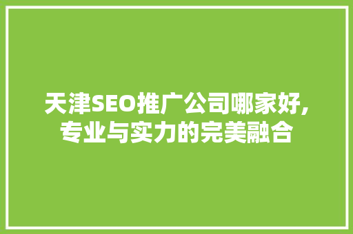 天津SEO推广公司哪家好,专业与实力的完美融合