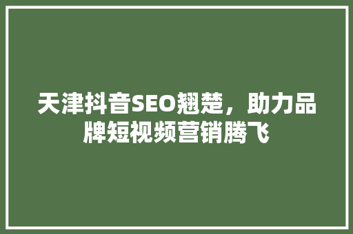 天津抖音SEO翘楚，助力品牌短视频营销腾飞  第1张