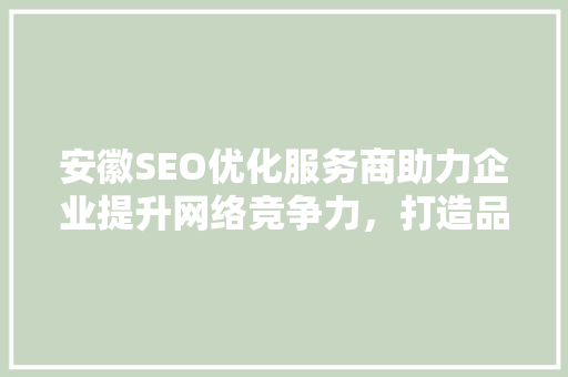 安徽SEO优化服务商助力企业提升网络竞争力，打造品牌新高度
