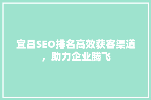 宜昌SEO排名高效获客渠道，助力企业腾飞