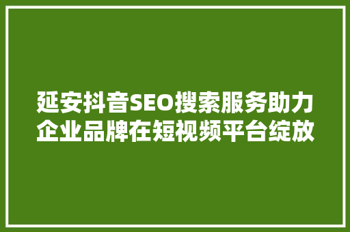延安抖音SEO搜索服务助力企业品牌在短视频平台绽放光彩  第1张