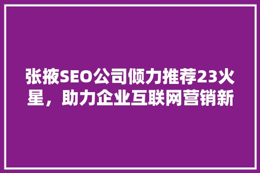 张掖SEO公司倾力推荐23火星，助力企业互联网营销新航向