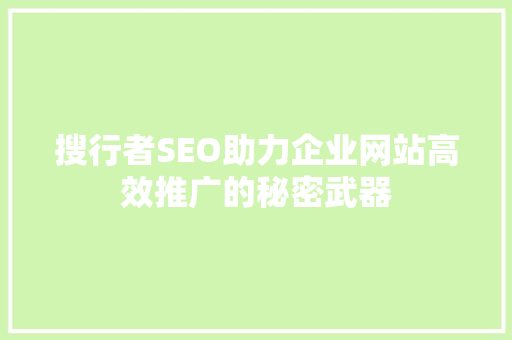 搜行者SEO助力企业网站高效推广的秘密武器