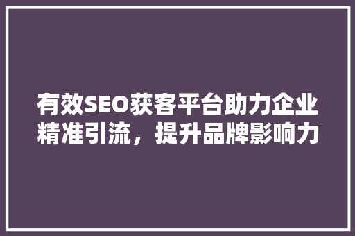 有效SEO获客平台助力企业精准引流，提升品牌影响力