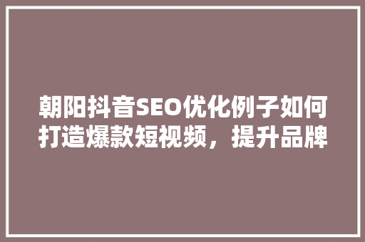 朝阳抖音SEO优化例子如何打造爆款短视频，提升品牌影响力