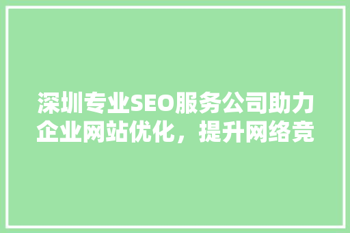 深圳专业SEO服务公司助力企业网站优化，提升网络竞争力