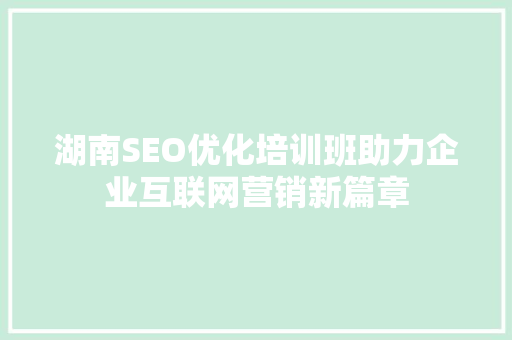 湖南SEO优化培训班助力企业互联网营销新篇章