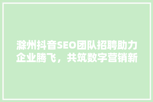 滁州抖音SEO团队招聘助力企业腾飞，共筑数字营销新篇章