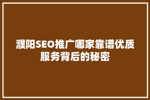 濮阳SEO推广哪家靠谱优质服务背后的秘密