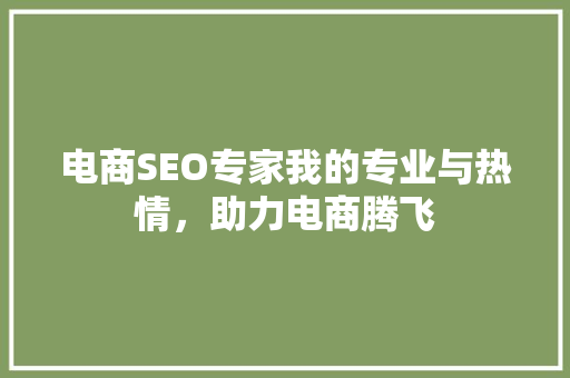 电商SEO专家我的专业与热情，助力电商腾飞
