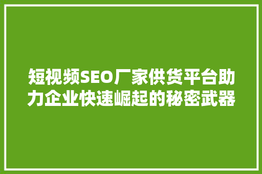 短视频SEO厂家供货平台助力企业快速崛起的秘密武器