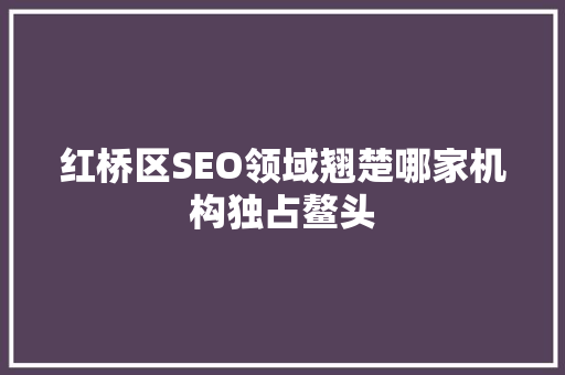 红桥区SEO领域翘楚哪家机构独占鳌头