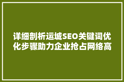 详细剖析运城SEO关键词优化步骤助力企业抢占网络高地
