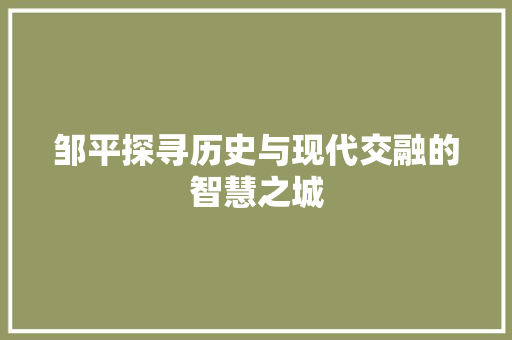 邹平探寻历史与现代交融的智慧之城