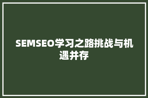 SEMSEO学习之路挑战与机遇并存