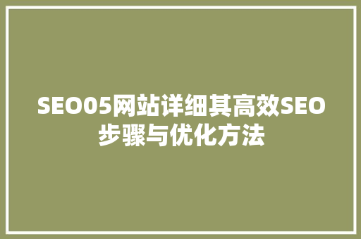 SEO05网站详细其高效SEO步骤与优化方法