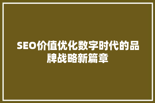SEO价值优化数字时代的品牌战略新篇章