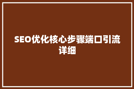 SEO优化核心步骤端口引流详细