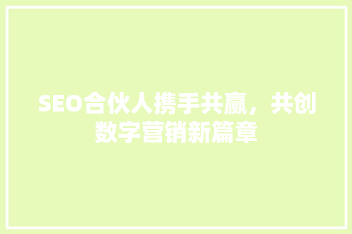 SEO合伙人携手共赢，共创数字营销新篇章
