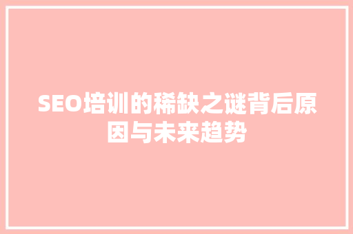 SEO培训的稀缺之谜背后原因与未来趋势