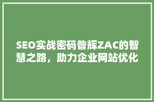 SEO实战密码昝辉ZAC的智慧之路，助力企业网站优化  第1张