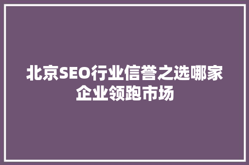 北京SEO行业信誉之选哪家企业领跑市场