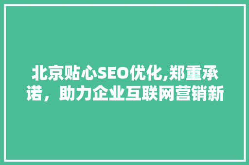 北京贴心SEO优化,郑重承诺，助力企业互联网营销新篇章