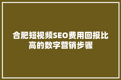 合肥短视频SEO费用回报比高的数字营销步骤