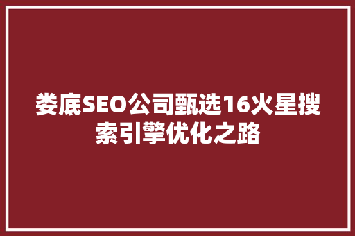 娄底SEO公司甄选16火星搜索引擎优化之路  第1张