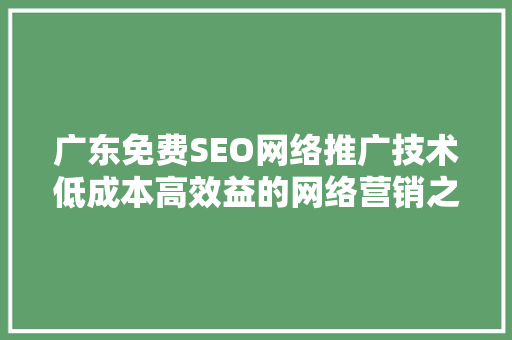 广东免费SEO网络推广技术低成本高效益的网络营销之路  第1张