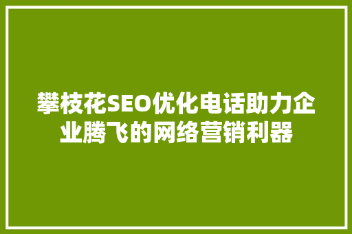 攀枝花SEO优化电话助力企业腾飞的网络营销利器