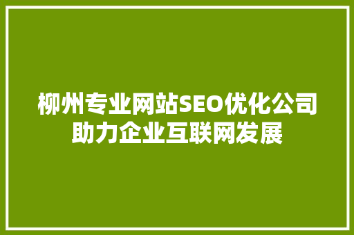 柳州专业网站SEO优化公司助力企业互联网发展