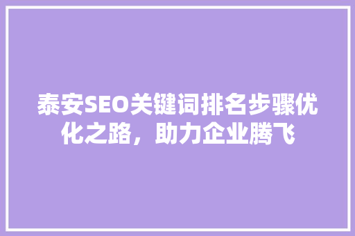 泰安SEO关键词排名步骤优化之路，助力企业腾飞