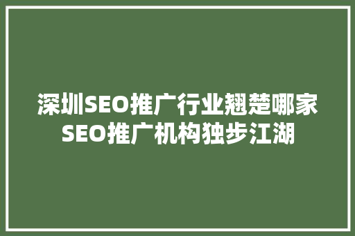 深圳SEO推广行业翘楚哪家SEO推广机构独步江湖