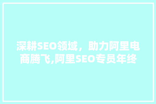 深耕SEO领域，助力阿里电商腾飞,阿里SEO专员年终总结