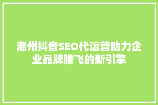 潮州抖音SEO代运营助力企业品牌腾飞的新引擎