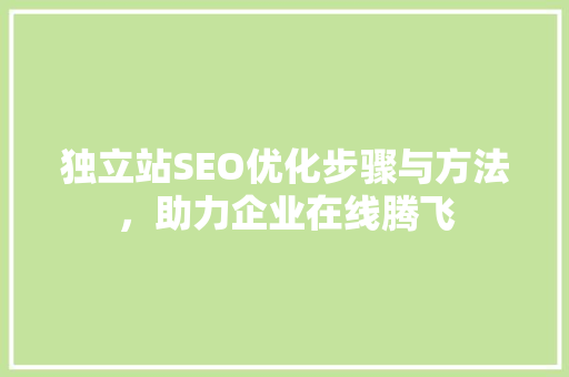 独立站SEO优化步骤与方法，助力企业在线腾飞