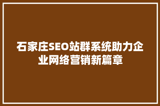 石家庄SEO站群系统助力企业网络营销新篇章