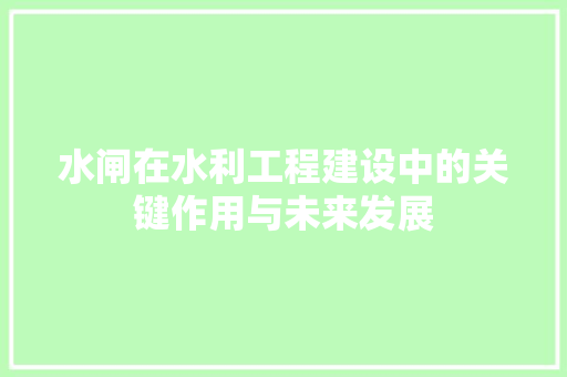 水闸在水利工程建设中的关键作用与未来发展