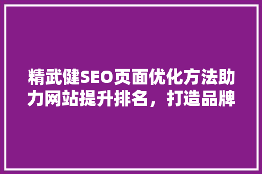 精武健SEO页面优化方法助力网站提升排名，打造品牌影响力